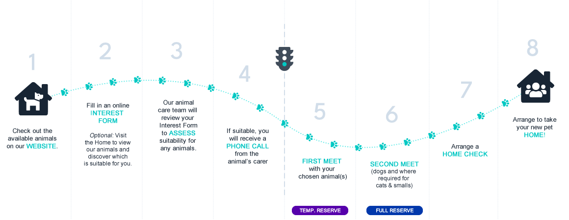 Danaher adoption process infographic