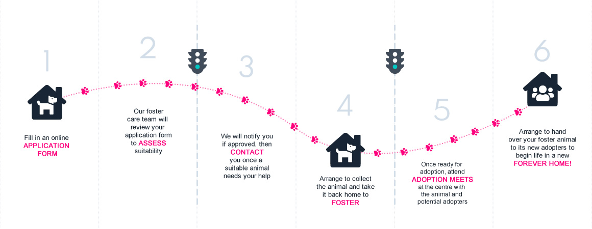 Danaher fostering process infographic